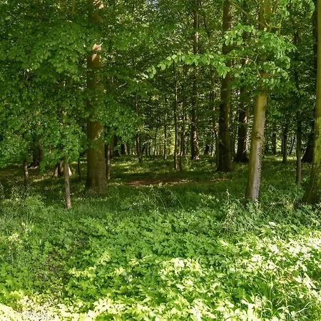 Sirkku - 320m From The Sea By Interhome بيت للعطل *