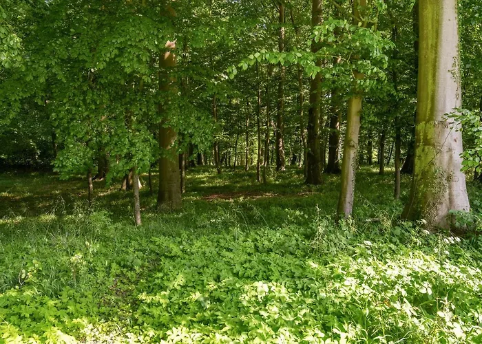 Sirkku - 320m From The Sea By Interhome Dom wakacyjny *